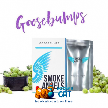 Табак для кальяна Smoke Angels Goosebumps (Ангелы Дыма Крыжовник) 100г Акцизный - фото 1
